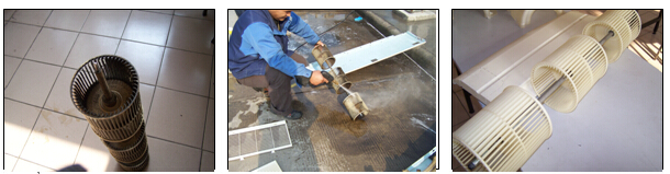 �����{���B��ϴ